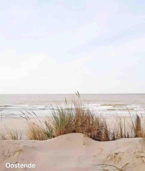 Ostend Chic, Luxe Loftstijl In Oostende Exterior foto
